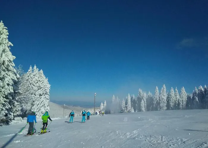 Gasthof Gostisce Ulipi